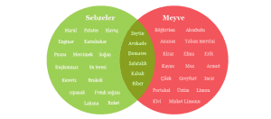 Venn Şeması